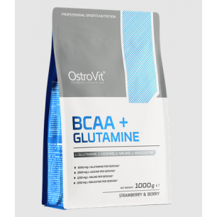 BCAA SportFit-s – tervislikud tooted kohaletoimetamisega Eestisse, Lätti, Leetu, Soome ja kogu EL-i.