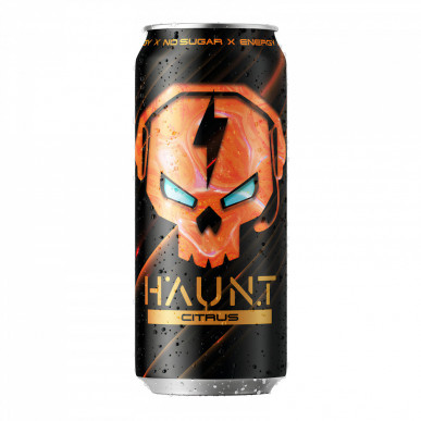 FITNESS FOOD FACTORY Energy Drink HAUNT, Citrus, 450 ml – low-calorie product from , buy in SportFit