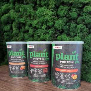 ICONFIT Plant Protein - Apple Pie, 480g