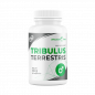 6PAK Tribulus Terrestris, N90