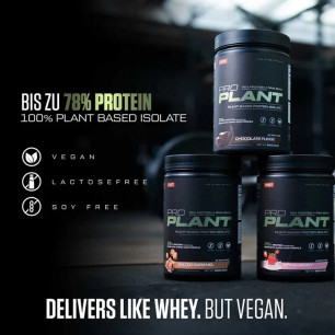 PRO PLANT растительный протеиновый изолят – Шоколадная помадка, 900 г