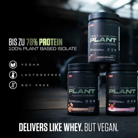 PRO PLANT растительный протеиновый изолят – Шоколадная помадка, 900 г