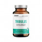 Tribulus, uztura bagātinātājs vīriešiem, N90