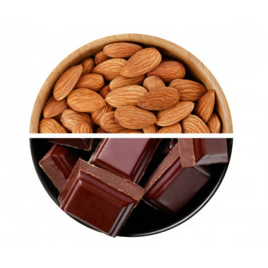 QWIZZ Protein bar, almond+chocolate, 60 g – low-calorie product from NUTREND, buy in SportFit