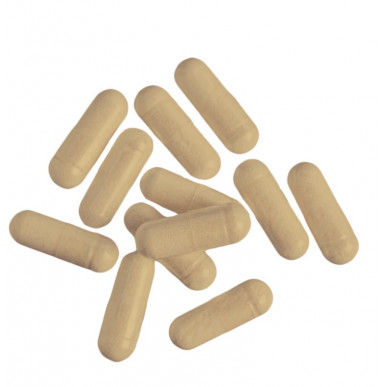 Tribulus Terrestris, N60 – madala kalorsusega toode firmalt NUTREND, osta SportFit-ist