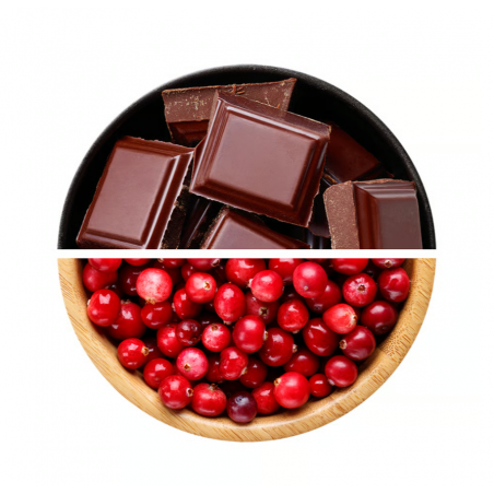 EXCELENT PROTEIN BAR, шоколад - нуга с клюквой, 85 г