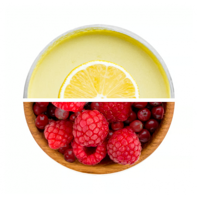 EXCELENT PROTEIN BAR, lemon - curd - raspberry with cranberries, 85 g – low-calorie product from NUTREND, buy in SportFit