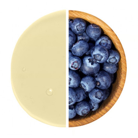 CARBOSNACK sachet, 50 g, blueberry
