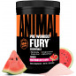 Eeltreening Animal Fury, Arbuus, 480 g