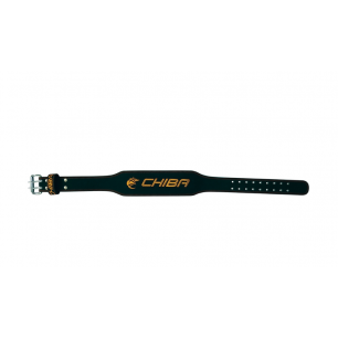 Leather Training Belt (Black/Gold) S