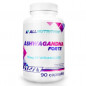 Ashwagandha Forte, N90