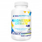 Magnesiumsitraatti + B6, N100