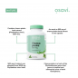 Chanca Piedra, 500 mg - N60 Chanca Piedra, 500 mg - N60