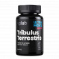 Tribulus terrestris, 90 kapsulas Tribulus terrestris, 90 kapsulas