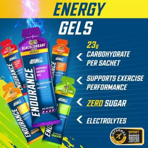 Endurance + Sprint Mix Pack — 12 Isotonic Energy Gels (6 Flavours × 2 pcs) — 720 g