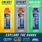 Endurance + Sprint Mix Pack — 12 izotoninių energinių gelių (6 skoniai × 2 vnt.) — 720 g
