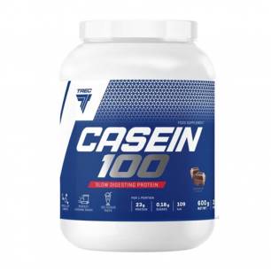 CASEIN 100, шоколад - 600 г