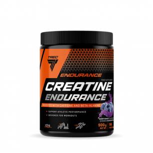 Creatine Endurance, marjad - 500 g