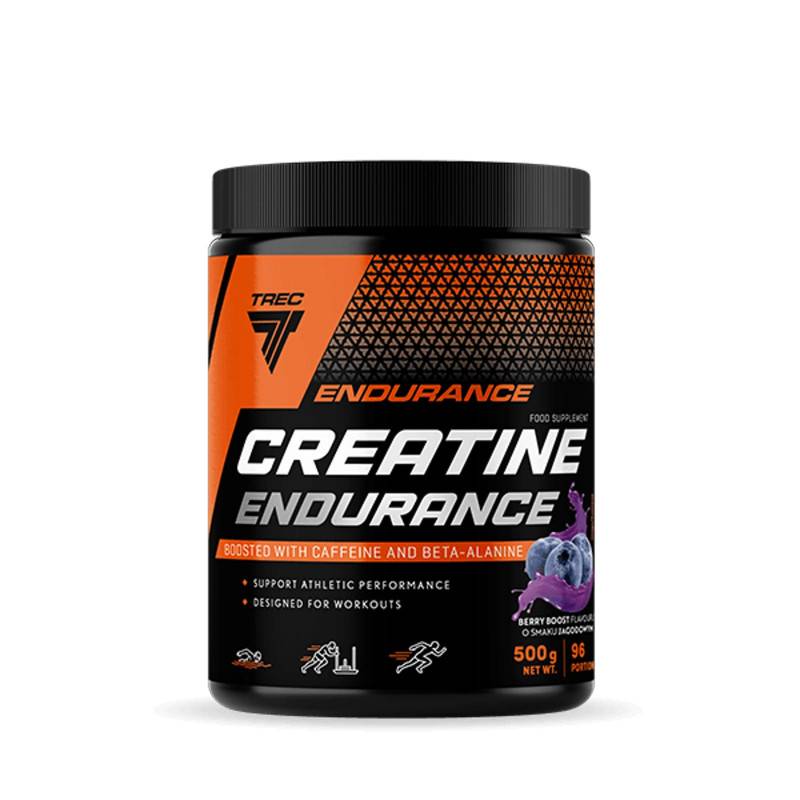 Creatine Endurance, ягоды - 500 г