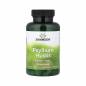 Swanson Psyllium Husks 610 mg 100 Caps