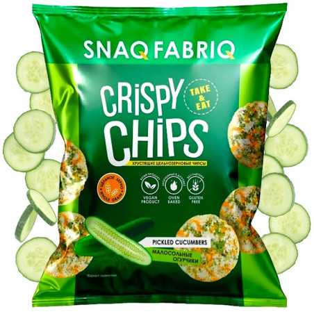 Snaq fabriq -proteiinisirut "Salt Cucumbers", 50 g