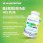 Berberiini HCL Plus, 90 kapselia Berberiini HCL Plus, 90 kapselia