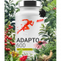 Dion Sports Adapto 600 - 60 kapsulas