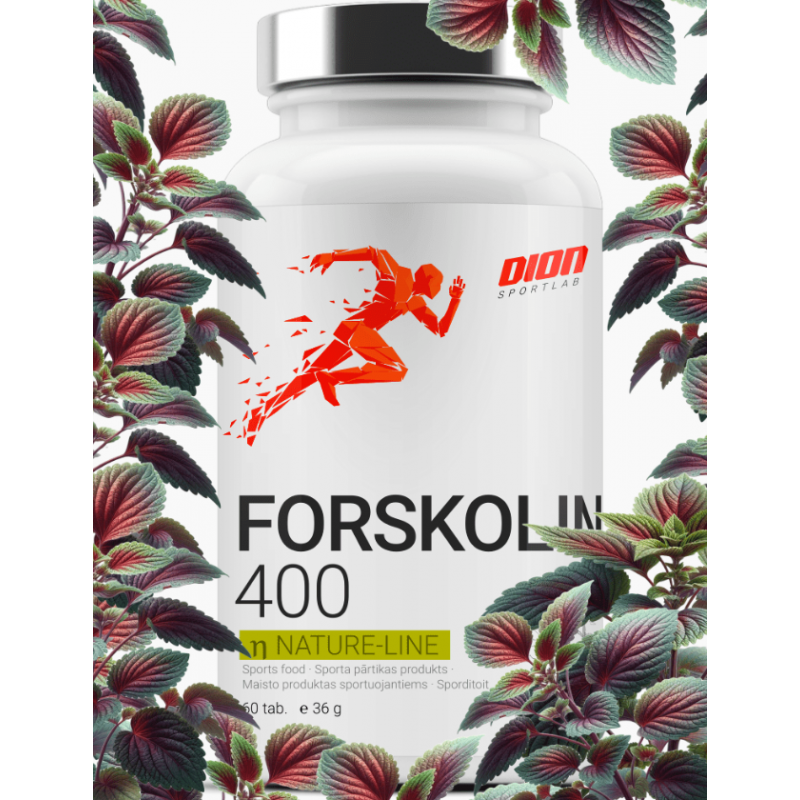 Dion Sports Forskolin 400 ekstrakts - 60 cilne Dion Sports Forskolin 400 ekstrakts - 60 cilne
