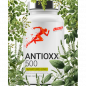 Dion Sports Antioxx 500 Trans -Resveratrol - 30 kapsulas Dion Sports Antioxx 500 Trans -Resveratrol - 30 kapsulas