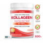 Vitteka liellopa dzeltenā pulvera 10 000 mg, 300 g
